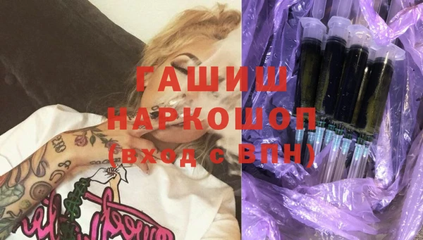 a pvp Новозыбков