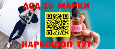 прущие грибы Кандалакша