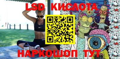 прущие грибы Кандалакша