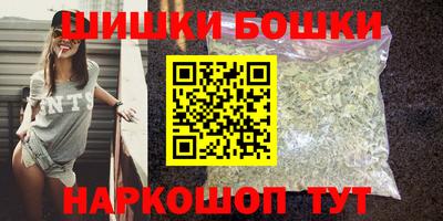 прущие грибы Кандалакша
