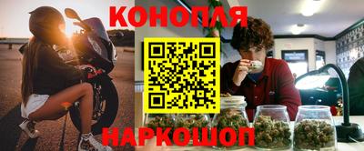 прущие грибы Кандалакша