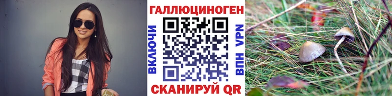 omg   Лысьва  Галлюциногенные грибы Cubensis 