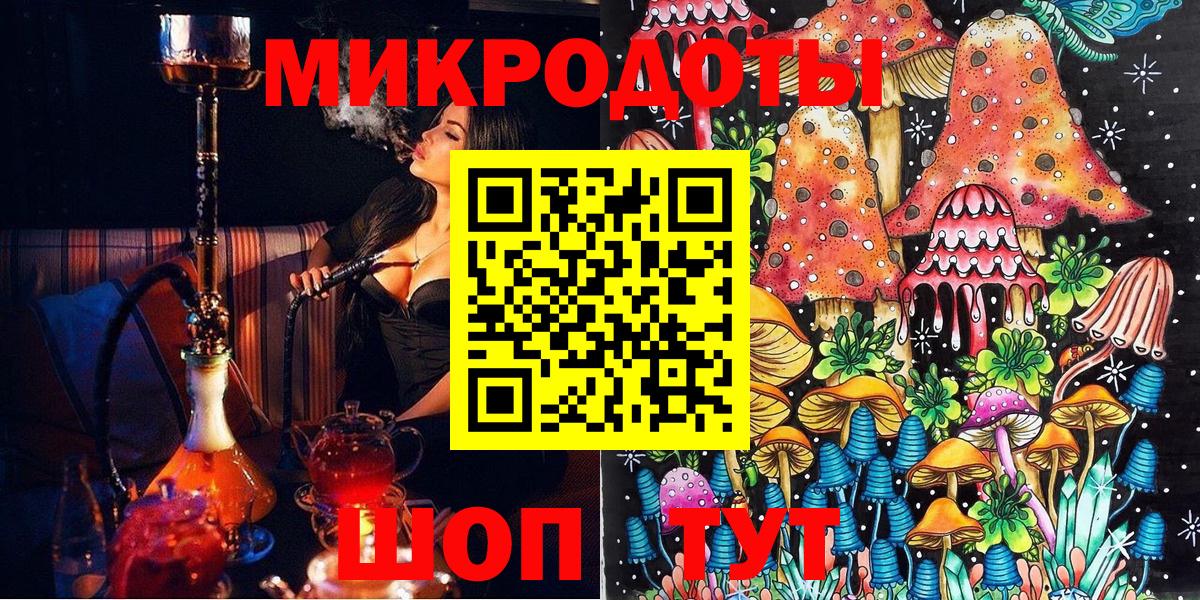 Псилоцибиновые грибы прущие грибы  Лысьва  Псилоцибиновые грибы Psilocybe 