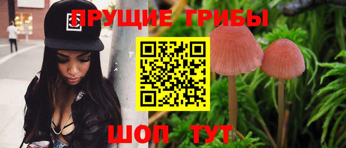 Лысьва  25-NBOMe  COCAIN  A-PVP  Конопля  Вход с VPN  Хэш  Мефедрон 